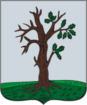 Герб города Стародуб